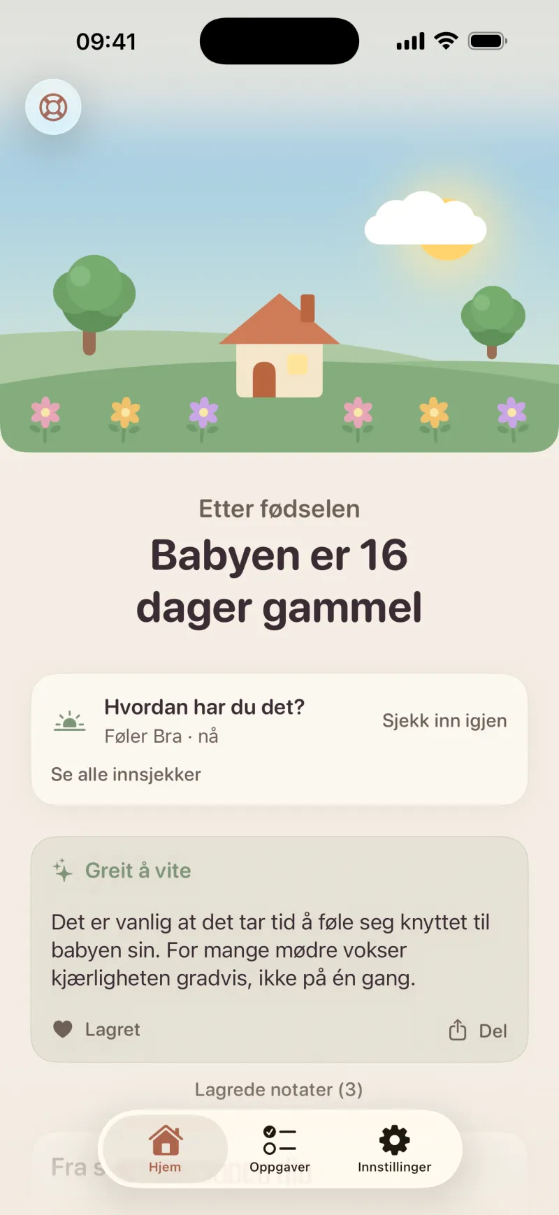Skjermbilde av Postpartum Hero-appen